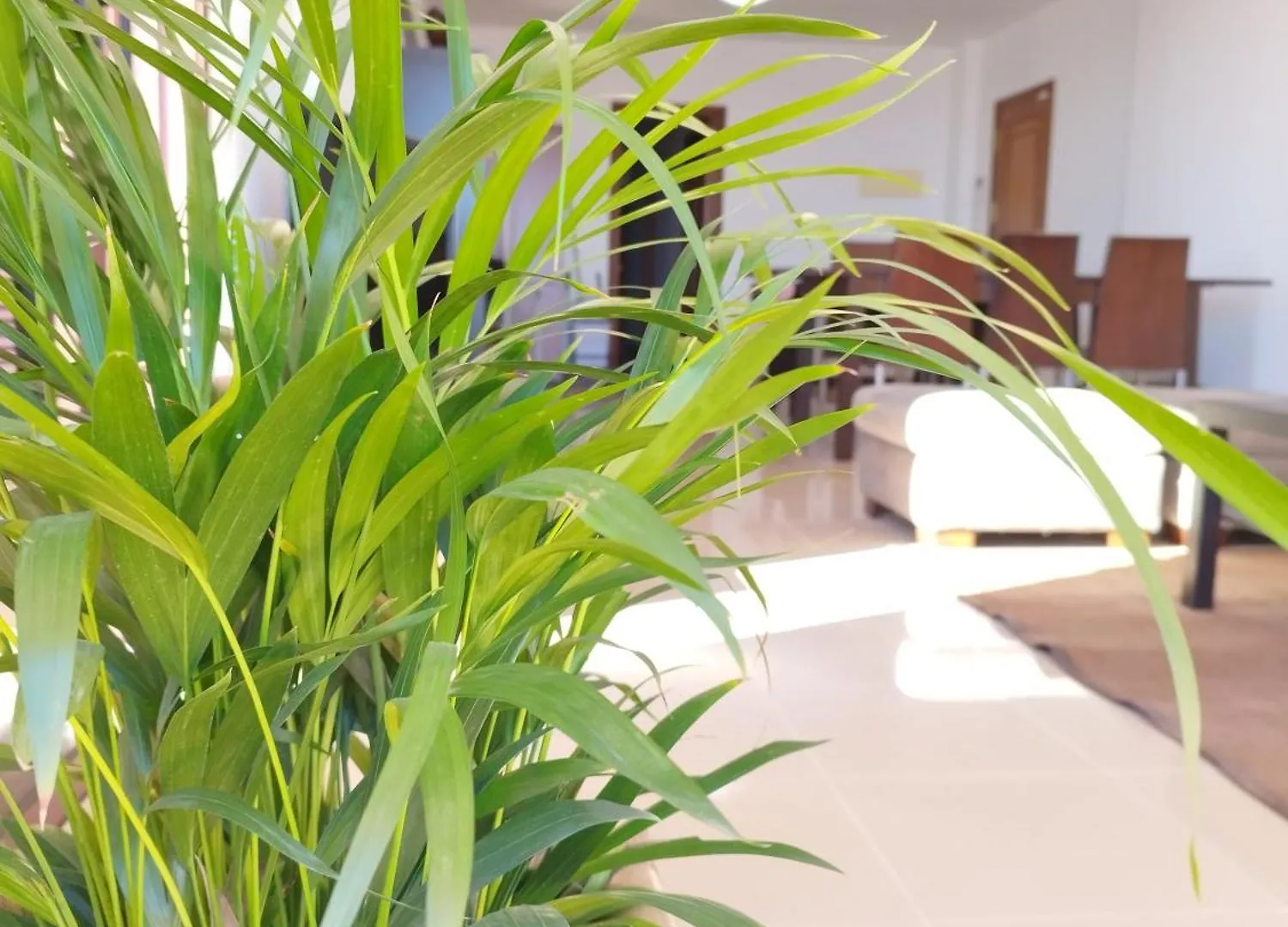 Vivienda Vacacional Compartida Radazul Bed & Breakfast Spain