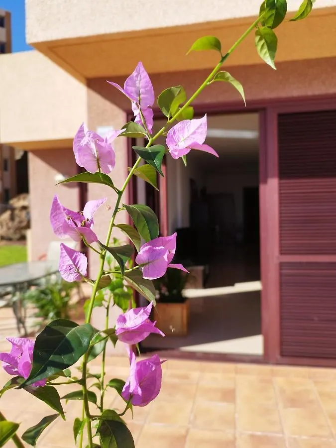 Vivienda Vacacional Compartida Radazul Bed & Breakfast